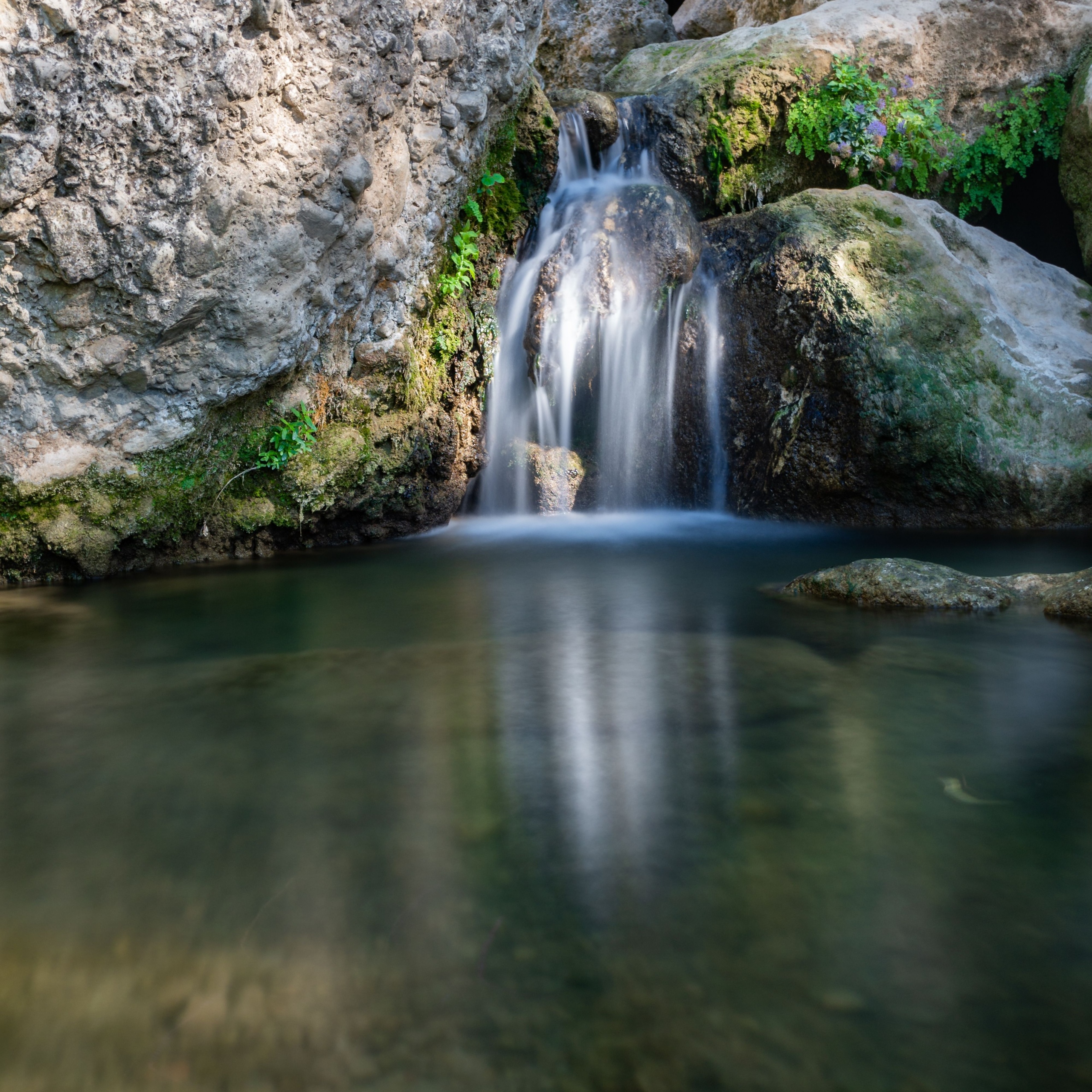 río Guadalevín